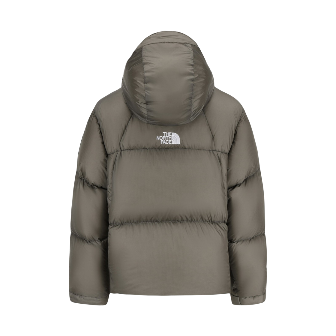 노스페이스 프로젝트 다운 자켓 (RDS) NJ1DS66L_DUN(The North Face Project Down Jacket (RDS) DUN) - 2