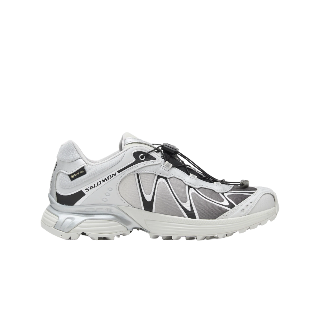 L49192300 Salomon XT-Whisper GTX Gray Violet Black