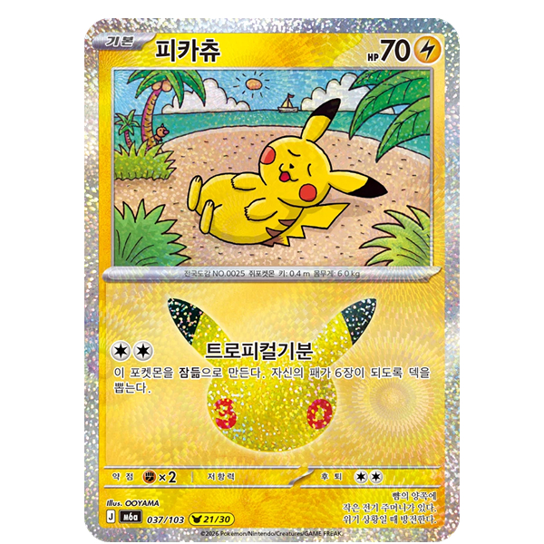 투표 선택 이미지