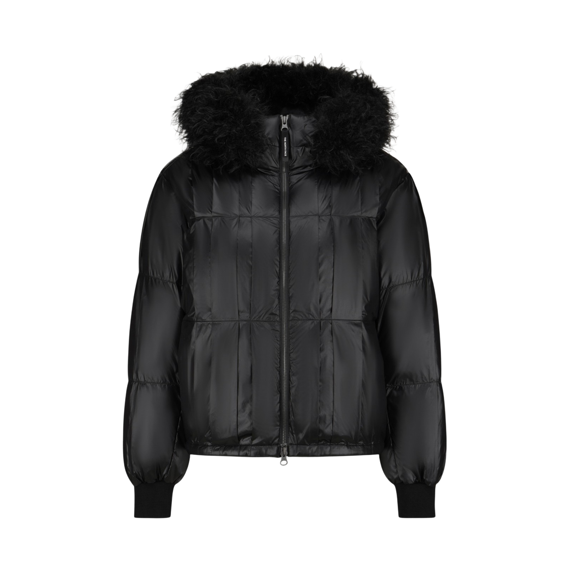 NJ1DS82J The North Face W'S GLENX DOWN JACKET (RDS) BLK