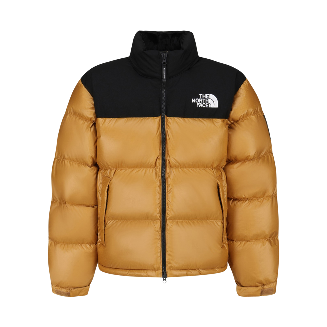 NJ1DS67O The North Face NOVELTY NUPTSE JACKET (RDS) DKY