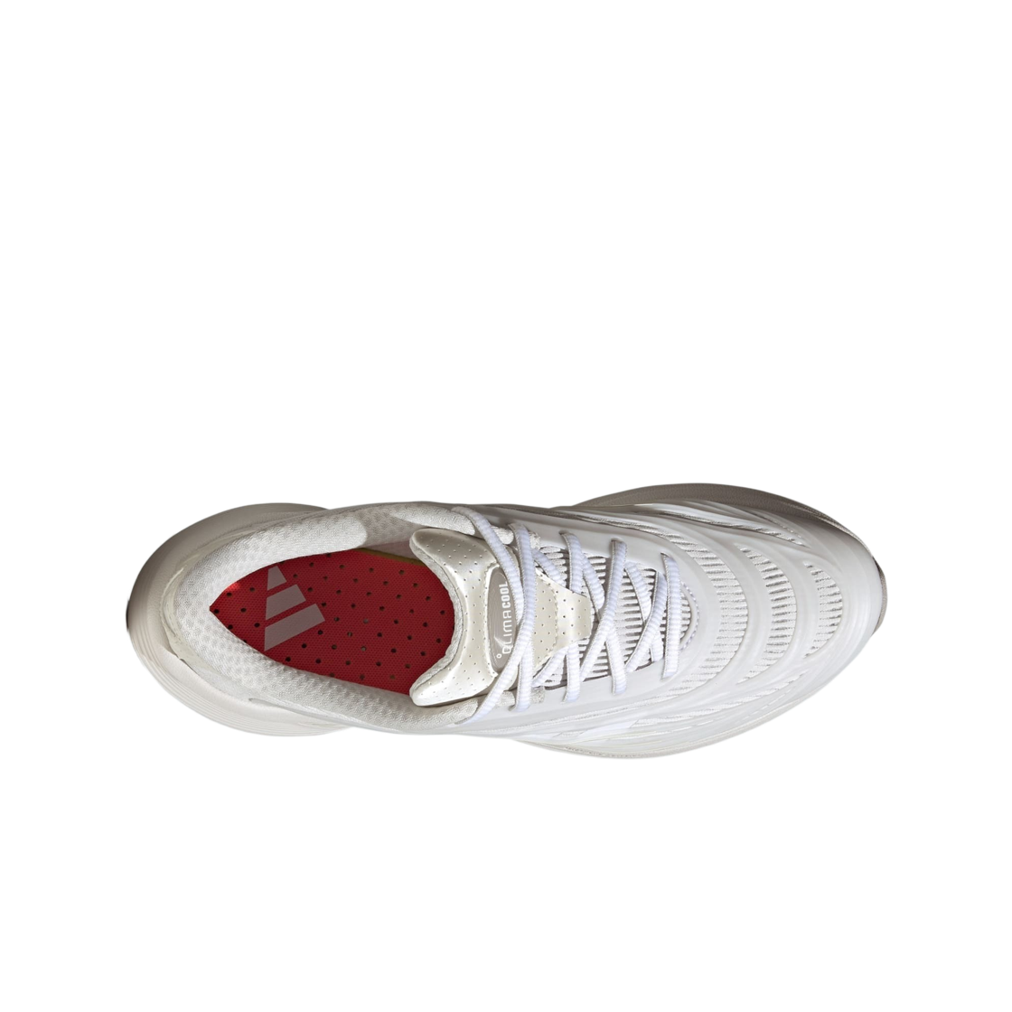 아디다스 클라이마쿨 SPW 크리스탈 화이트 클라우드 화이트(Adidas Climacool SPW Crystal White Cloud White) - 2