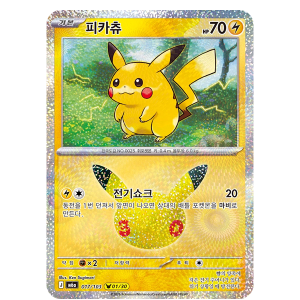 투표 선택 이미지
