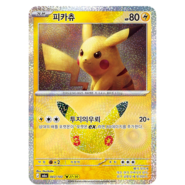 투표 선택 이미지