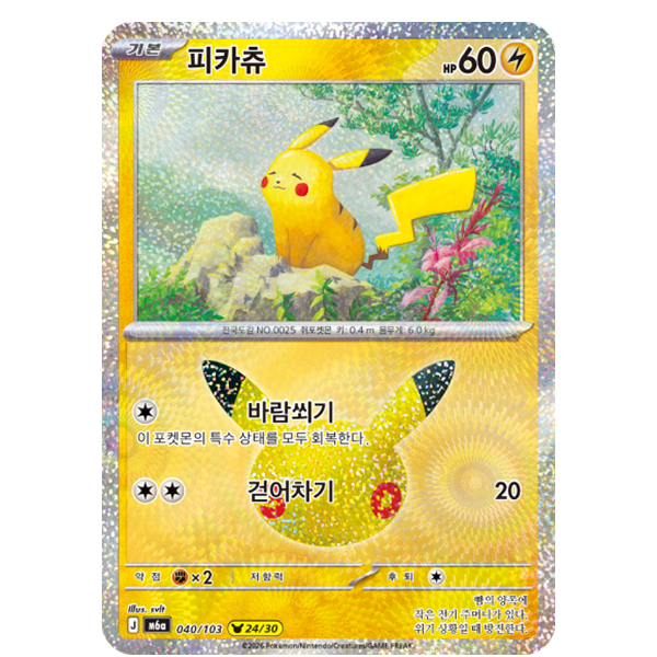 투표 선택 이미지