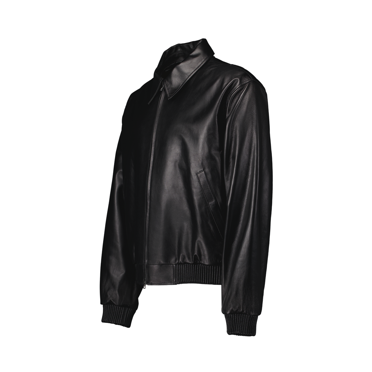 언더마이카 컴팩트 인스펙터 램스킨 블루종 오닉스 블랙(Undermycar Compact Inspector Lambskin Blouson Onyx Black) - 2