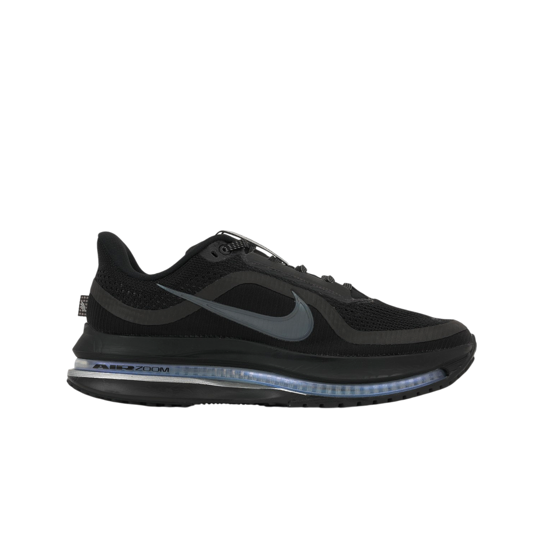 HQ2592-005 Nike Pegasus Premium Black Metallic Silver