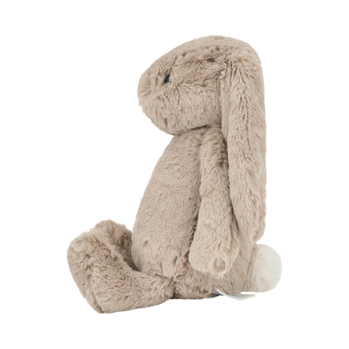 젤리캣 바쉬풀 버니 미디움 베이지(Jellycat Bashful Bunny Medium Beige) - 2