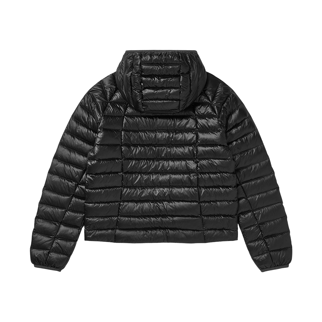 웰터 익스페리먼트 x 베리시 벨로라 라이트웨이트 다운 자켓 블랙(WELTER EXPERIMENT x Verish VELORA Lightweight Down Jacket Black) - 2