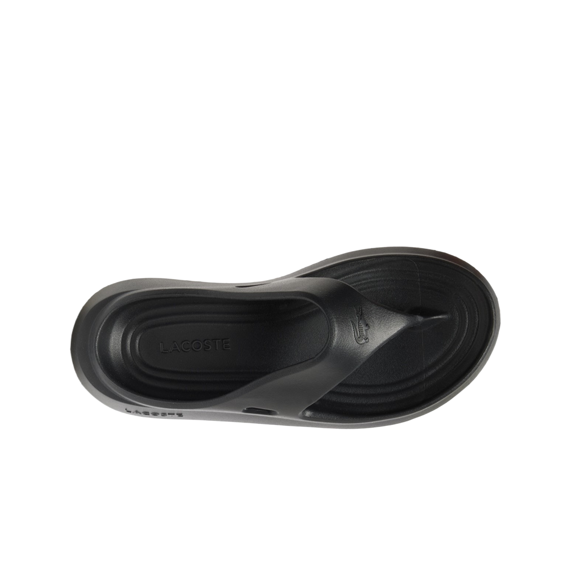 (W) 라코스테 매도즈 플립 플랍 다크 그레이((W) Lacoste Meduz Flip-Flops Dark Grey) - 2
