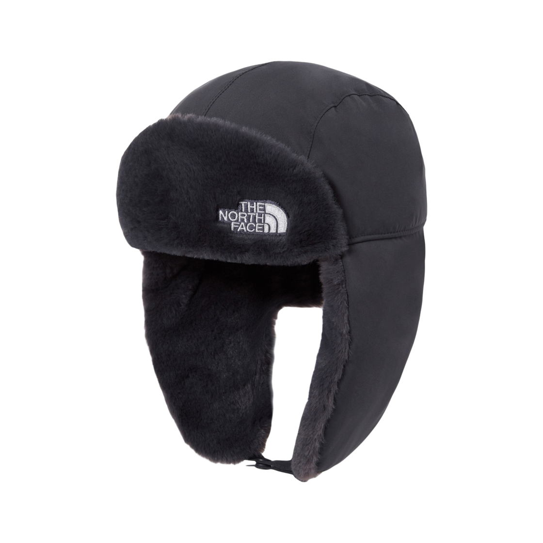 NE3CS60B The North Face Expedition Earmuff Cap DEC